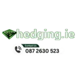 Account avatar for hedging.ie